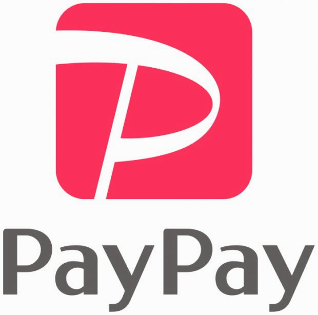 app-thanh-toan-tren-di-dong-pay-pay
